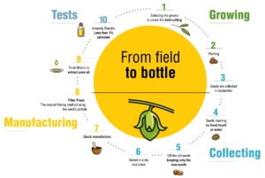 jojoba manufacturing prosses, from field to bottle